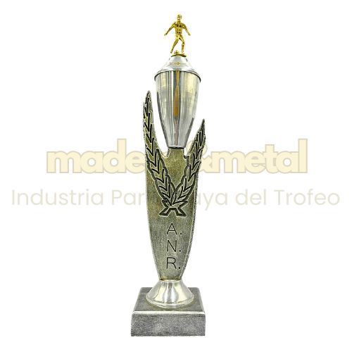 Imagen de Copa de metal con tapa - M5.210